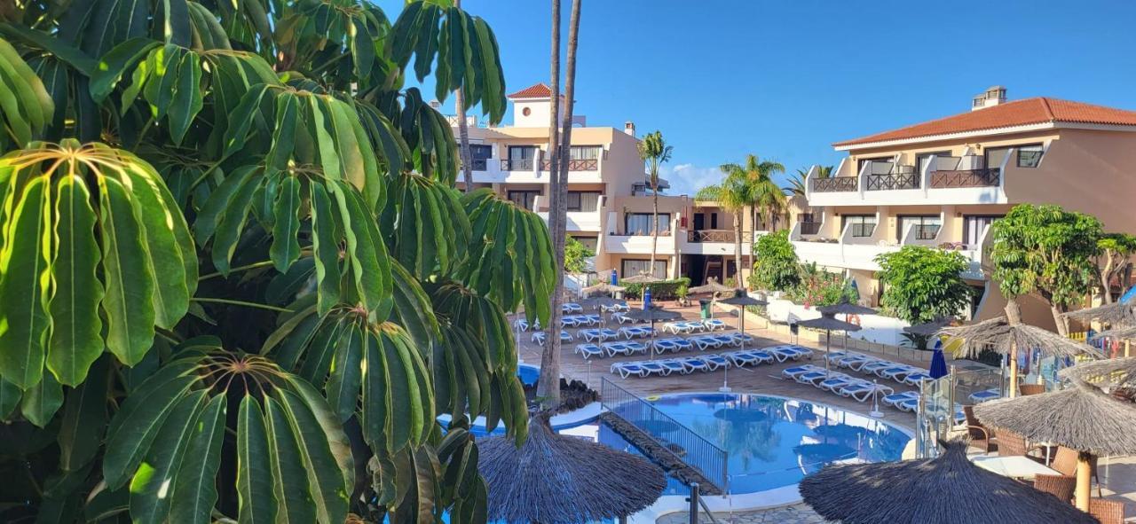 Albatros Tenerife Golf Sea View Appartement